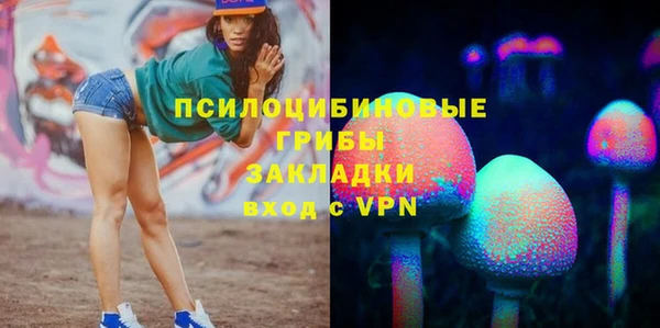 гидра Алзамай