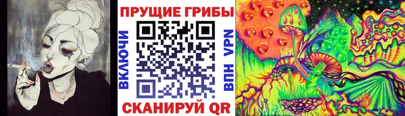 дарк нет формула  Ахтубинск  Галлюциногенные грибы Psilocybine cubensis  мега зеркало 