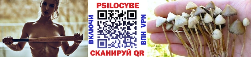 Псилоцибиновые грибы Cubensis Ахтубинск