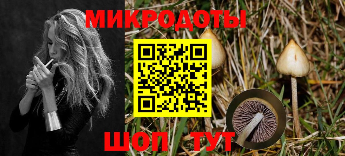 Галлюциногенные грибы прущие грибы Ахтубинск
